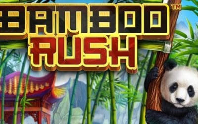 Bamboo Rush Slot Review and Magic Shoppe Slot Machine